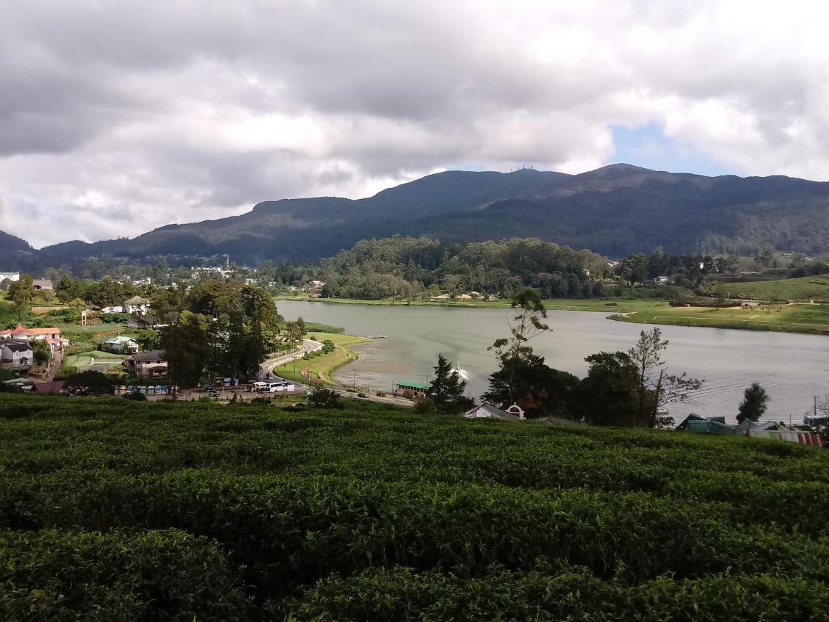 Готель Eco Creations Nuwaraeliya Нувара-Елія Екстер'єр фото